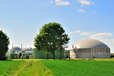 Landwirtschaftliche Biogasanlage zur Wärmegewinnung durch Vergärung von Biomasse. Im Vordergrund ein Baum und grüne Felder.