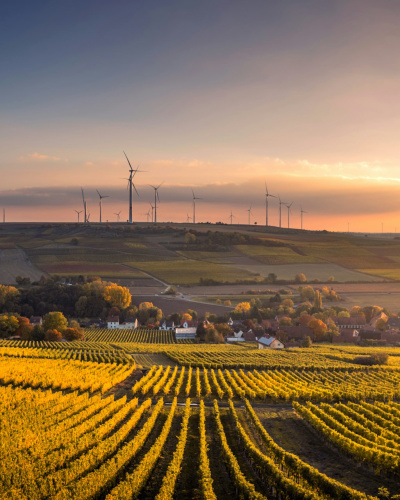 Herbstliche Landschaft mit Weinberg, Dorf und Ausblick auf Windkraftanlage am Horizont